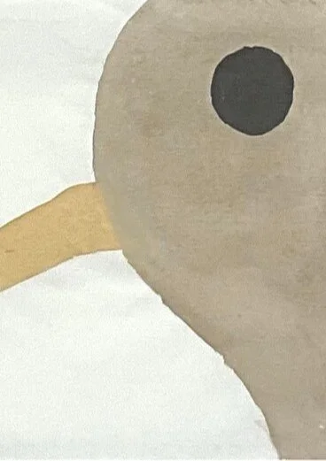 kiwi birds