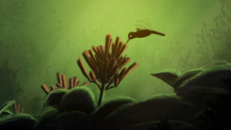 The Legend of the Hummingbird