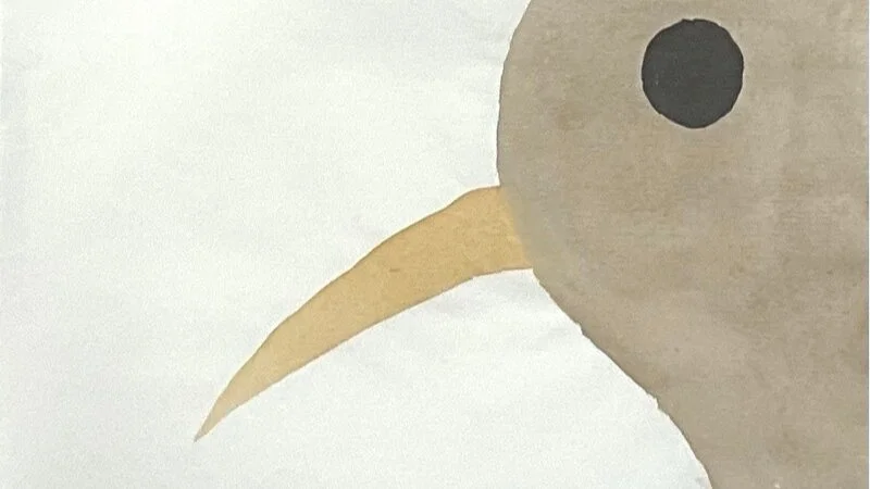 kiwi birds