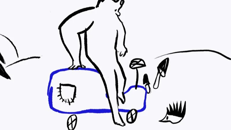 The Hedgehog